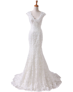 Angel Formal Dress Women's V-neck Lace Wedding Dress for Bride